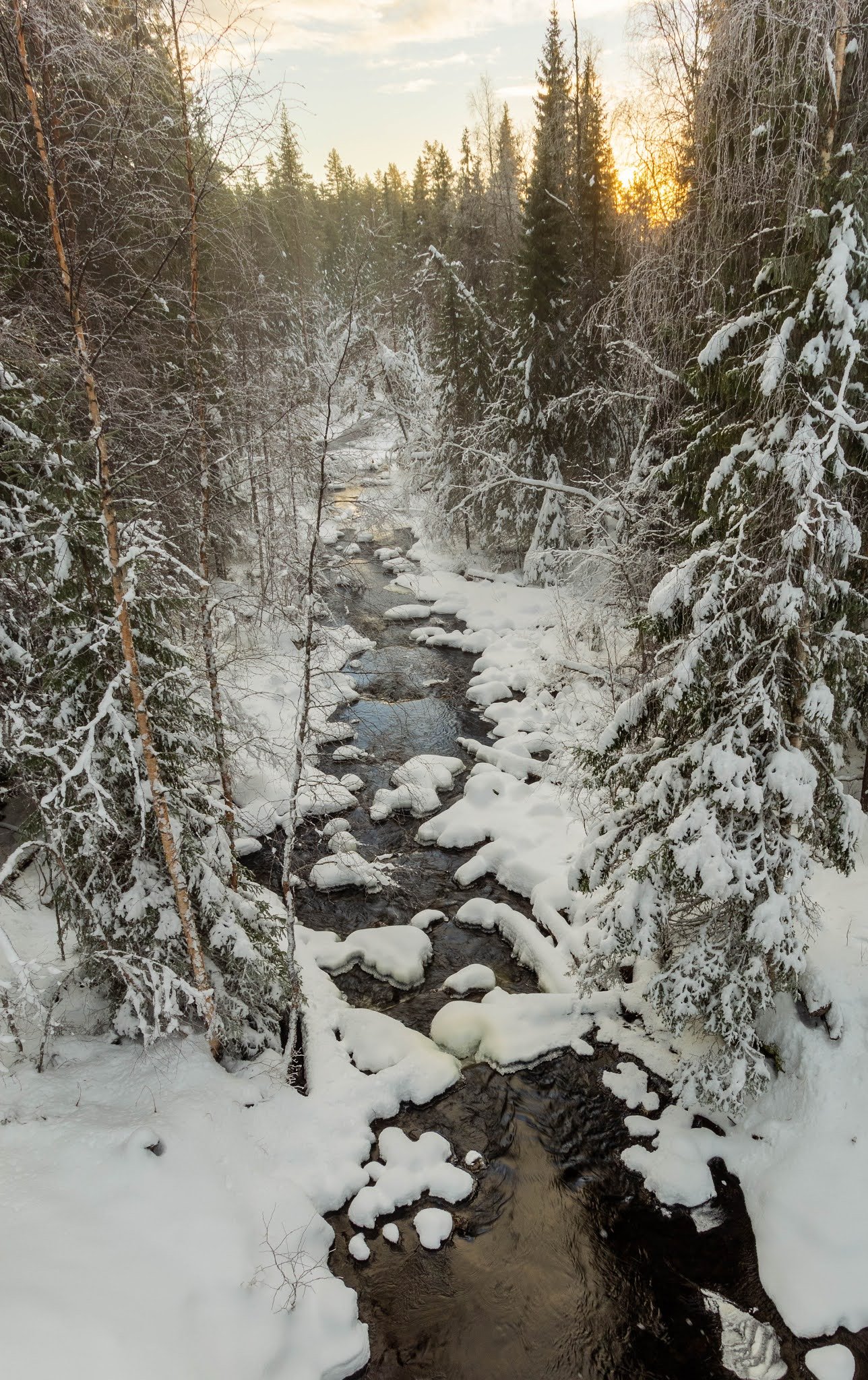Malmån (Malmån Nature Reserve)